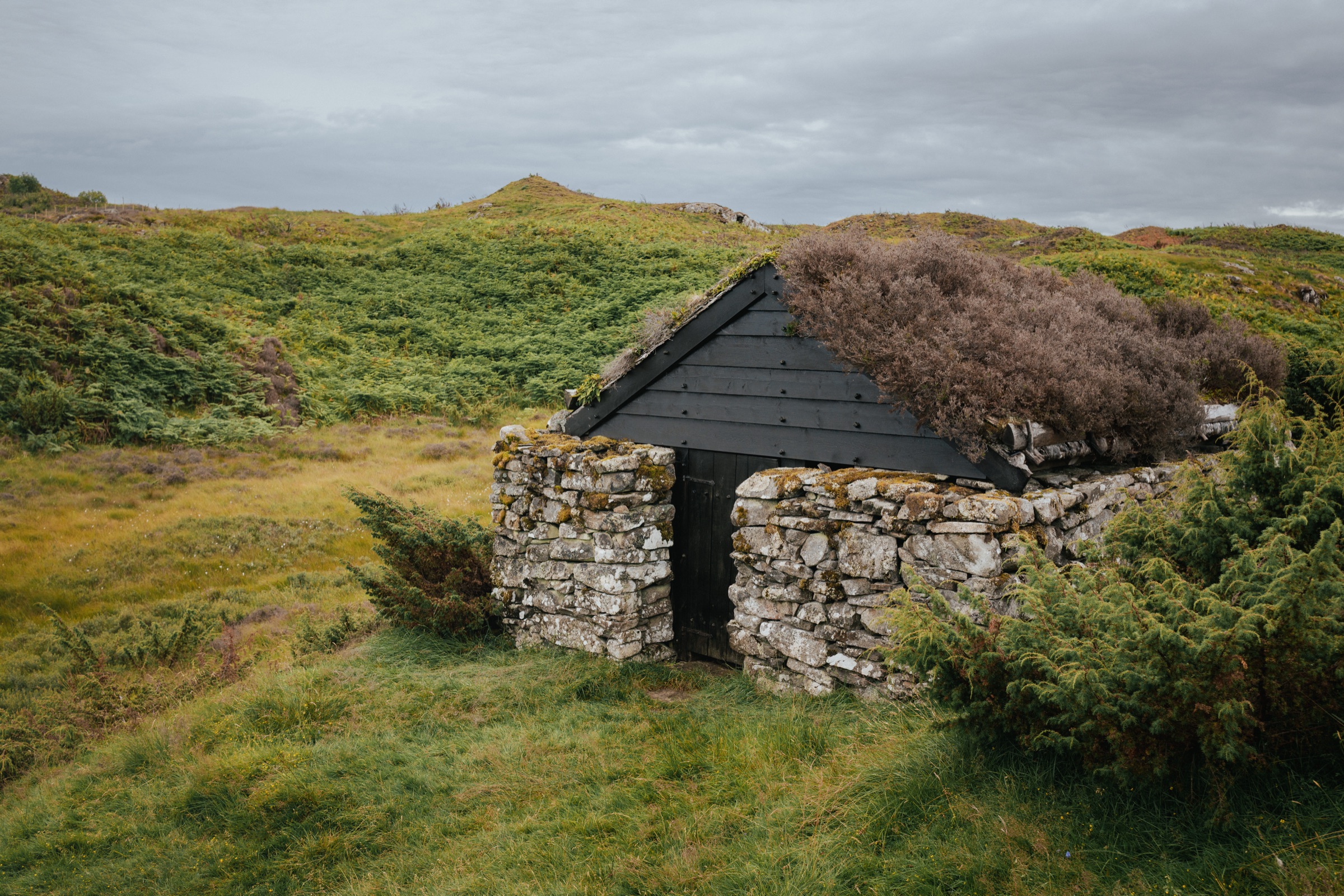 Eine niedrige Steinhütte mit dicht bewachsenem Grasdach in hügeligem Weideland.