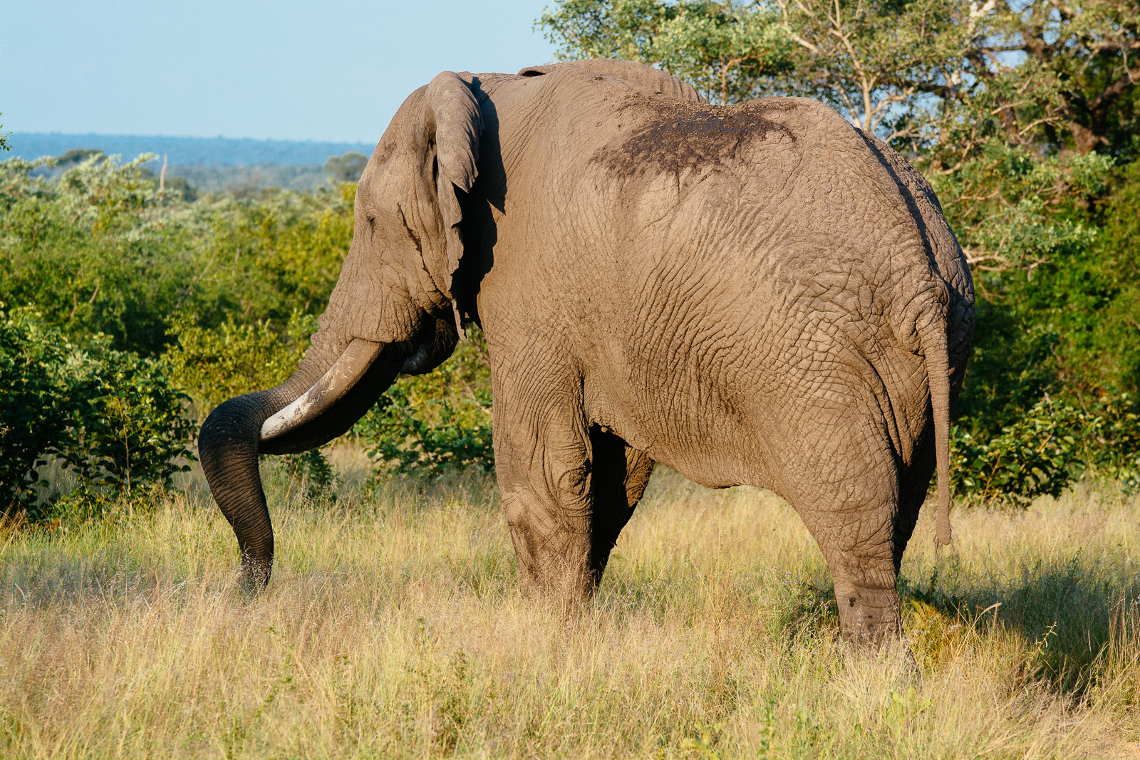 singita-095