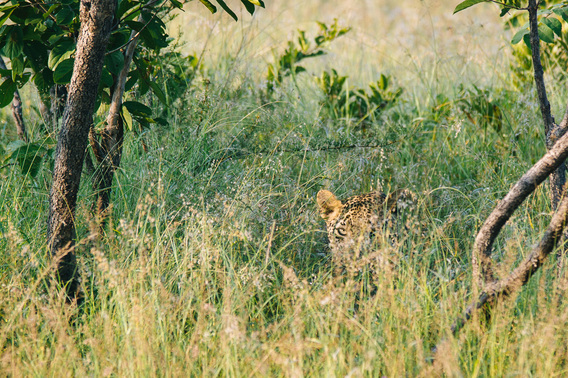 singita-107