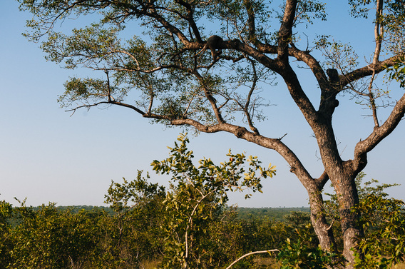 singita-109